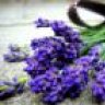 @lavanda@